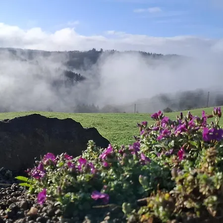 Apartamento Dietzenley