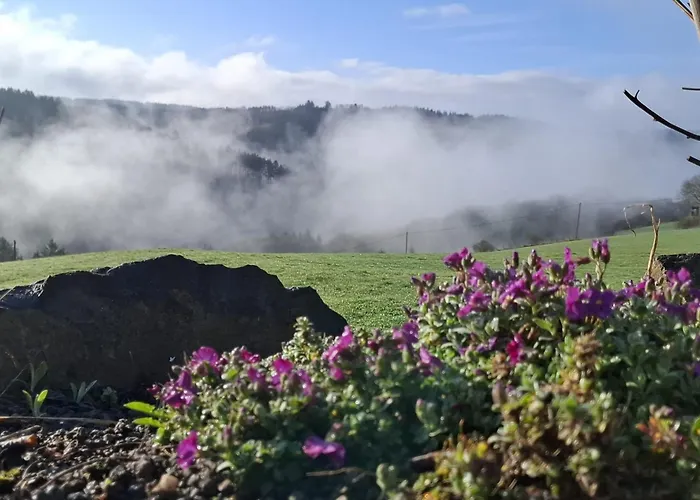 Apartamento Dietzenley