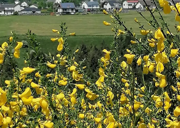 Dietzenley * Gerolstein