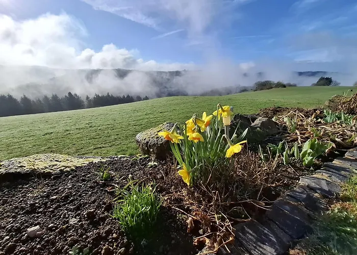 Dietzenley Apartamento