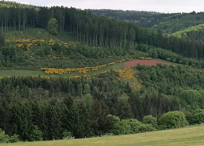 Dietzenley Apartamento